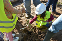 Alunos plantam árvores no Parque das Rotas