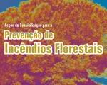 Prevenção de Incêndios Florestais