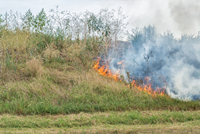Exercício de Incêndios Rurais – Interface urbanoflorestal