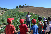 Fruta Escolar 