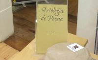 Biblioteca Municipal Irene Lisboa assinala XXXI aniversário