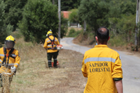 Sapadores Florestais da CIM Oeste em Arruda dos Vinhos para ações de desmatação e limpeza
