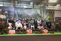 2.ª Exposição Canina Nacional de Arruda dos Vinhos
