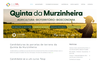 Novo site ArrudaLab 