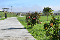 Aprovado Protocolo de Cooperação entre a Câmara Municipal e a GNR para a coordenação e utilização do sistema de videovigilância do Parque das Rotas