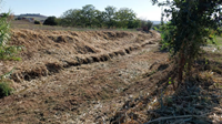 Ações de limpeza e desobstrução das principais linhas de água no Concelho de Arruda dos Vinhos