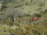 Treino Operacional – Ferramentas Manuais