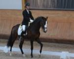 Campeonato Nacional de Dressage decorreu em Arruda dos Vinhos