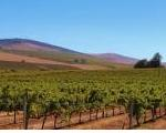 Cluster Agroindustrial