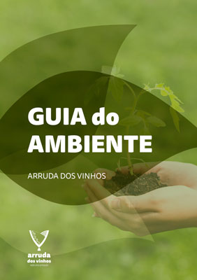 Imagem descritiva de pasta