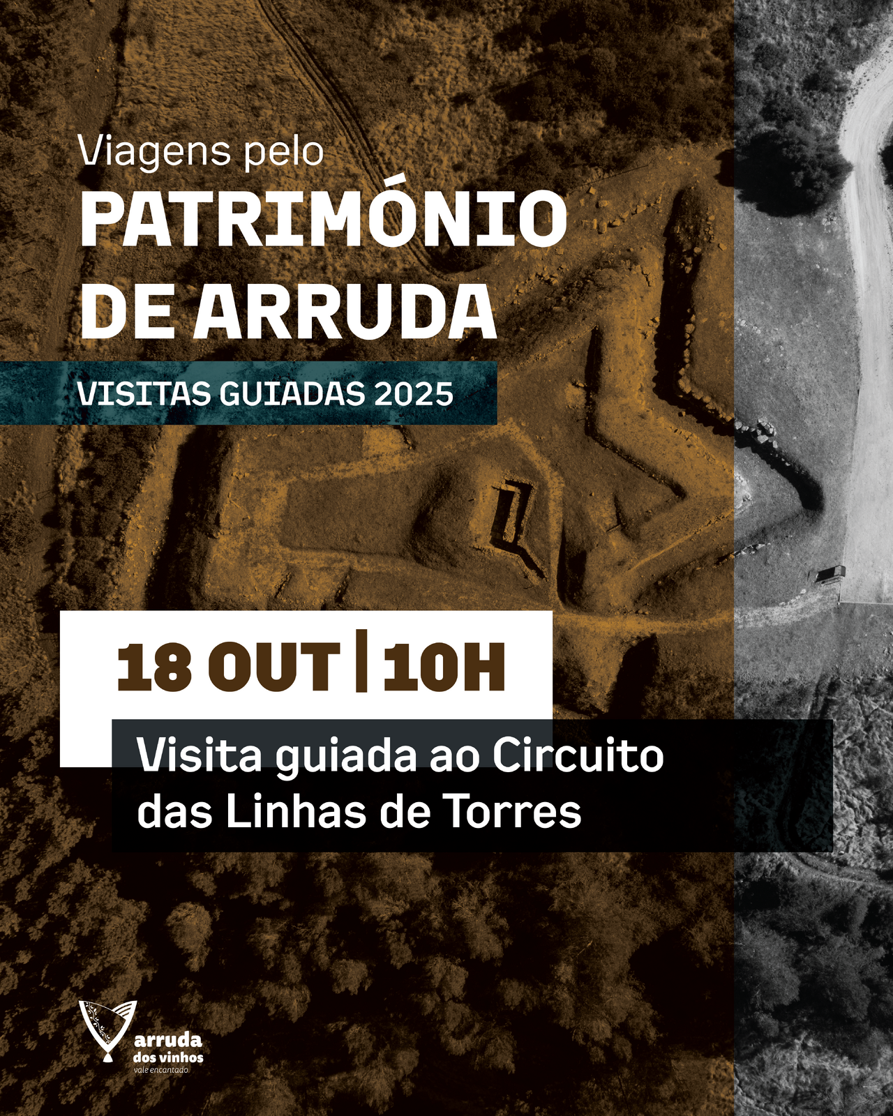 Visita guiada ao Circuito das Linhas de Torres