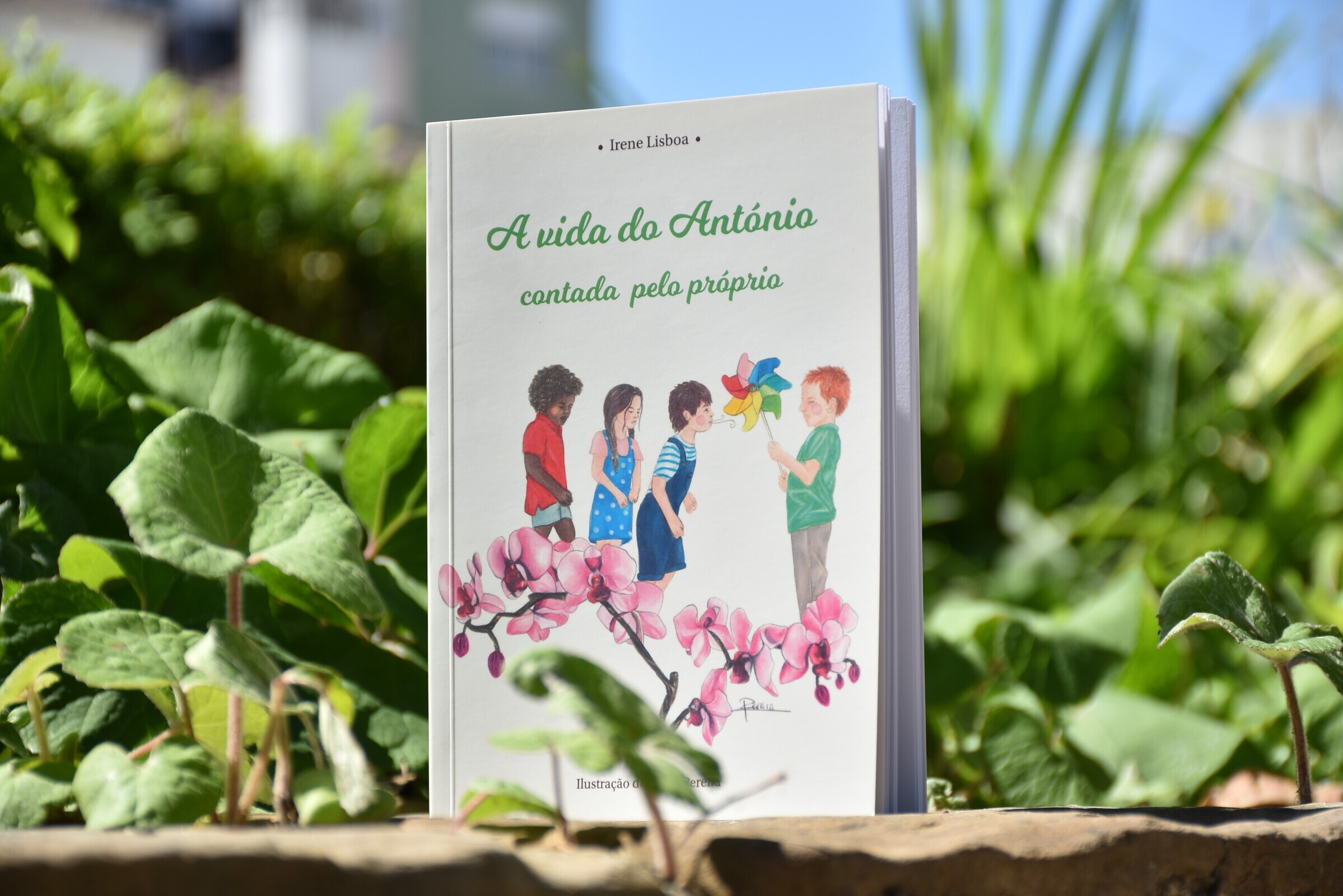  A vida do António contada pelo próprio