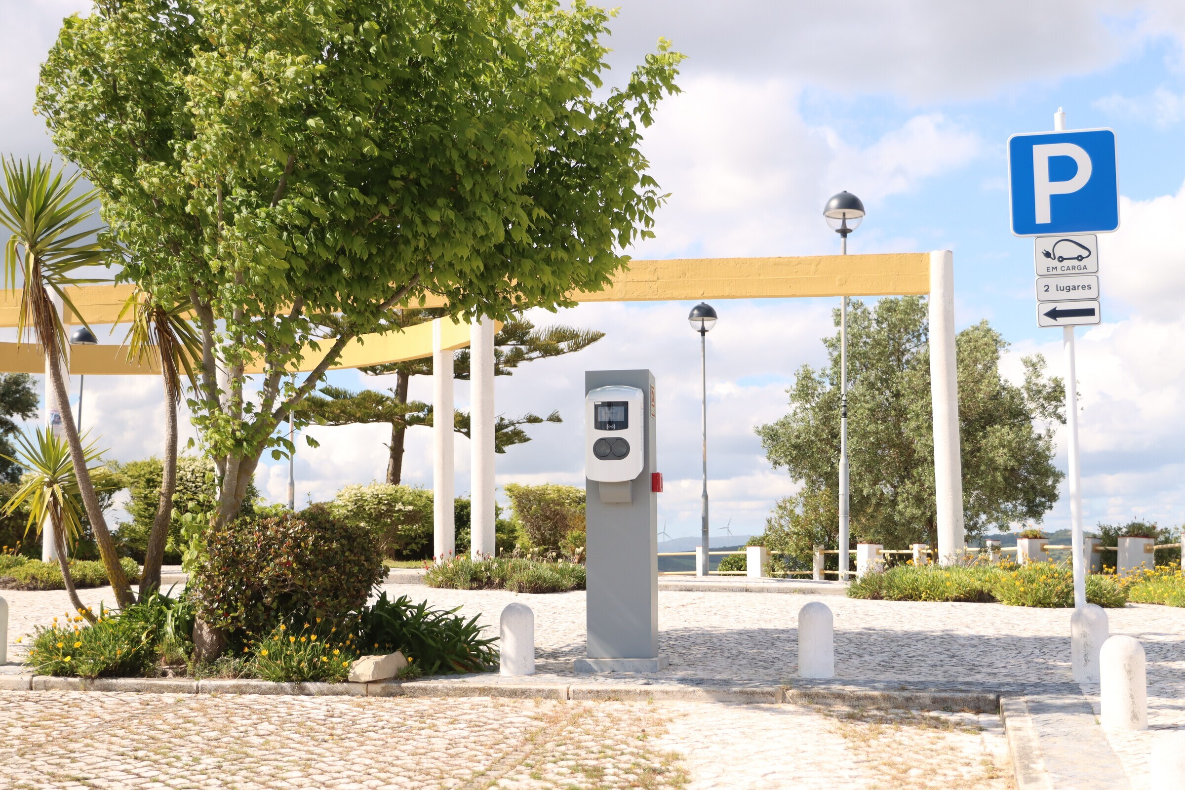 Cardosas - ARV-00019