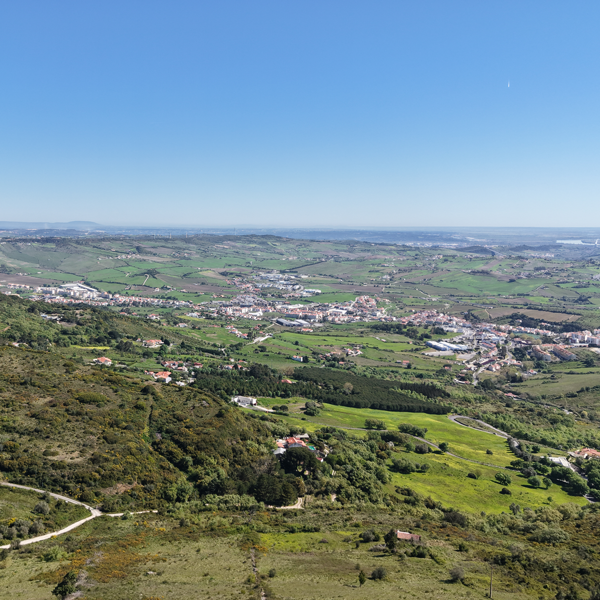 paisagem forte da carvalha