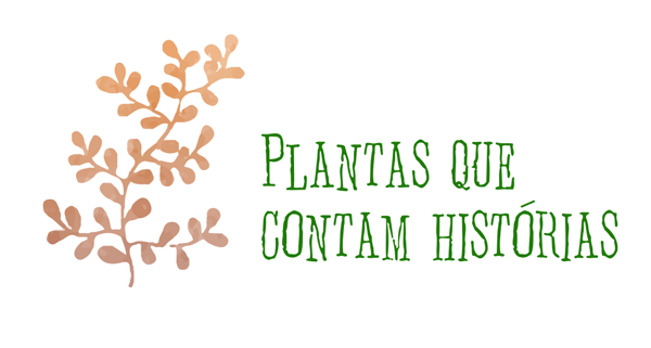 expo_plantas